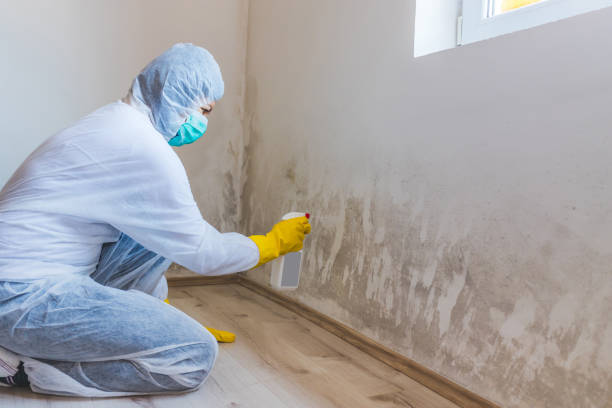 Bathroom Mold Removal assessment in Selden bathroom